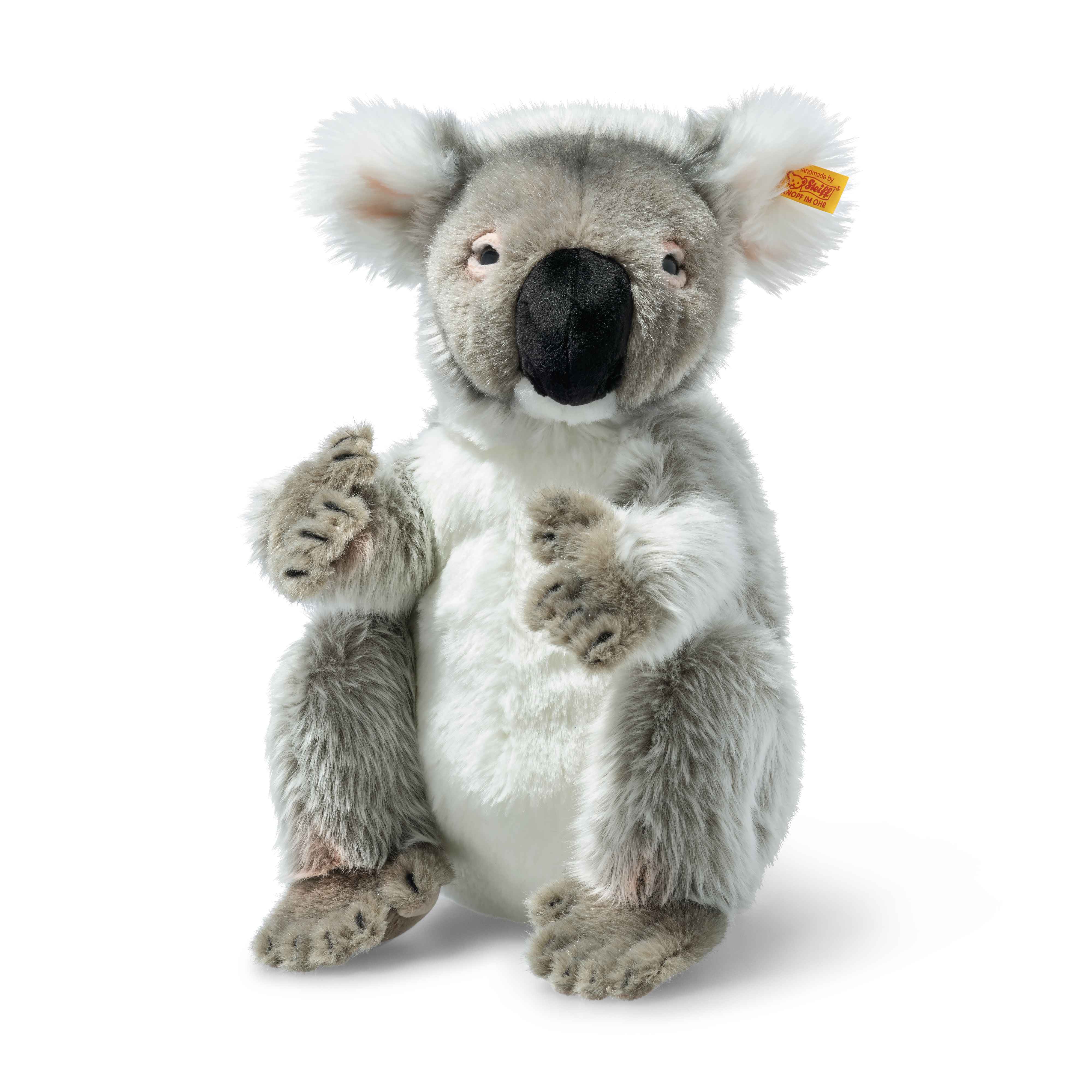Steiff wճ}: Colo Koala bear
