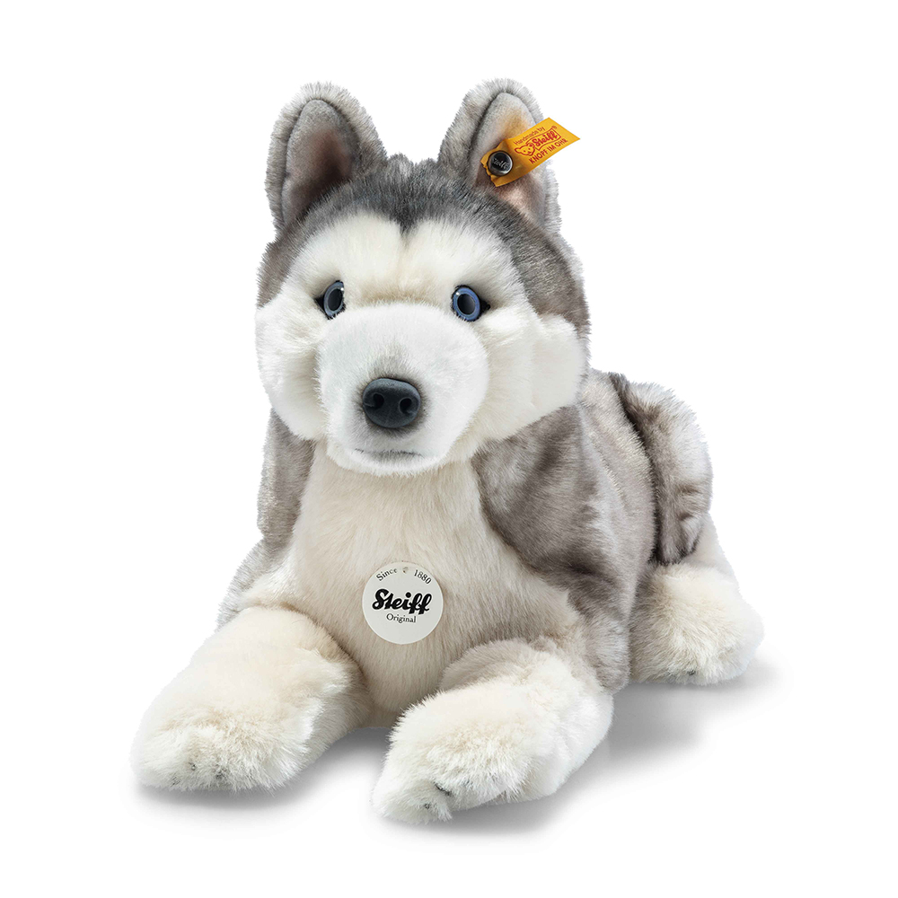 Steiff wճ}: Bernie Husky (Dog)