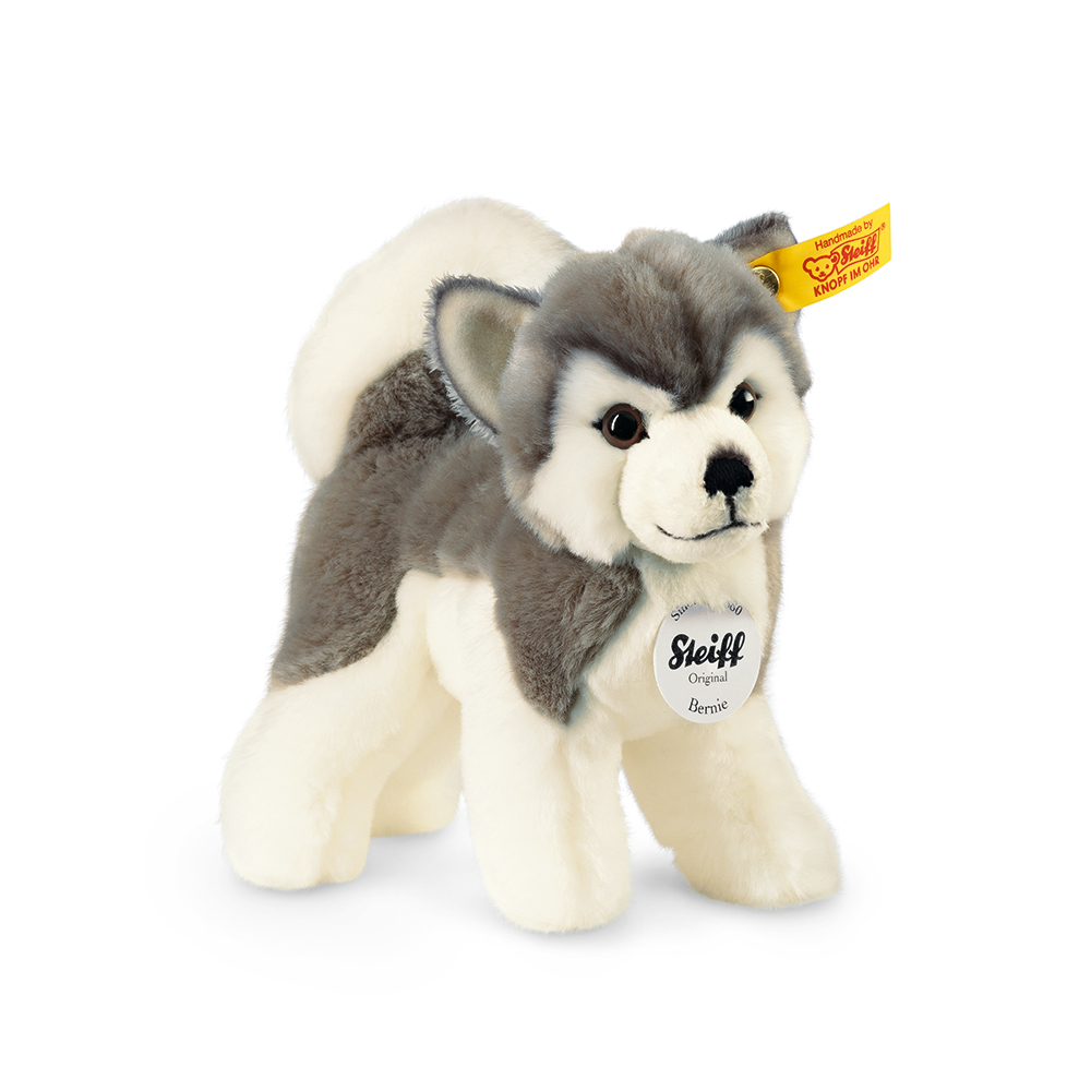 Steiff wճ}: Bernie Husky (Dog)